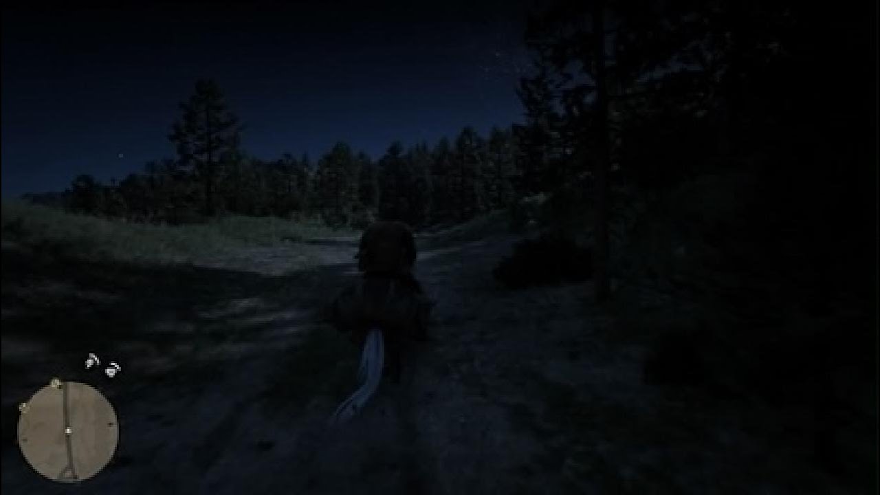 Red Dead Redemption 2_20260219212417