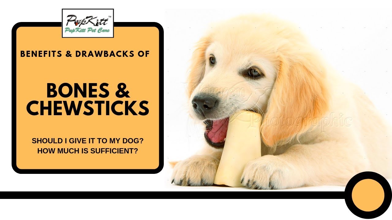 All About Bones & Chews Dental Sticks: Benefits, Drawbacks & Dosage | @PupkittPetCare​
