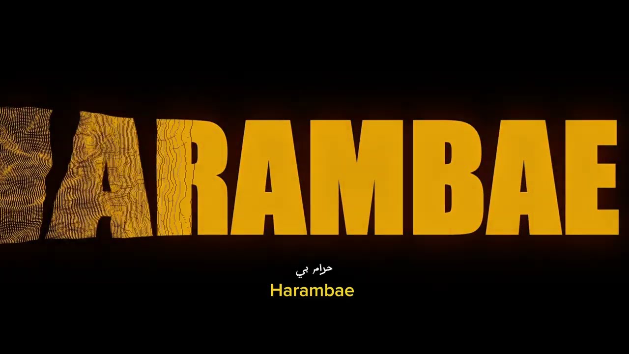 BOD - HARAMBAE (The Closure) 