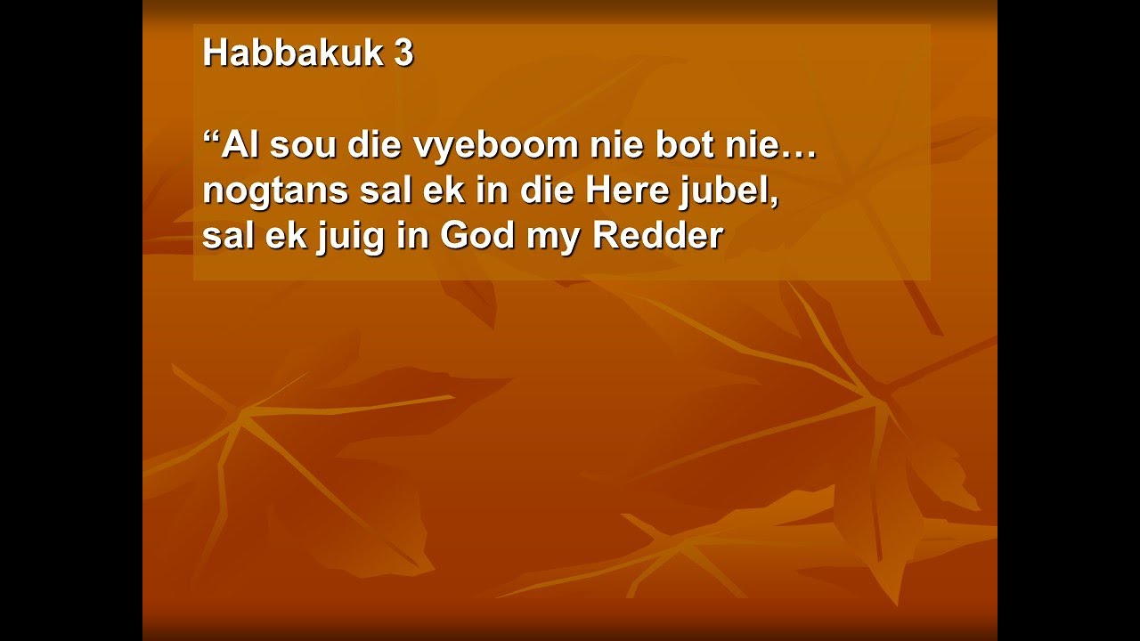 Al sou die vyeboom nie bot nie (met woorde) (live 2021 NG Wonderboompoort)