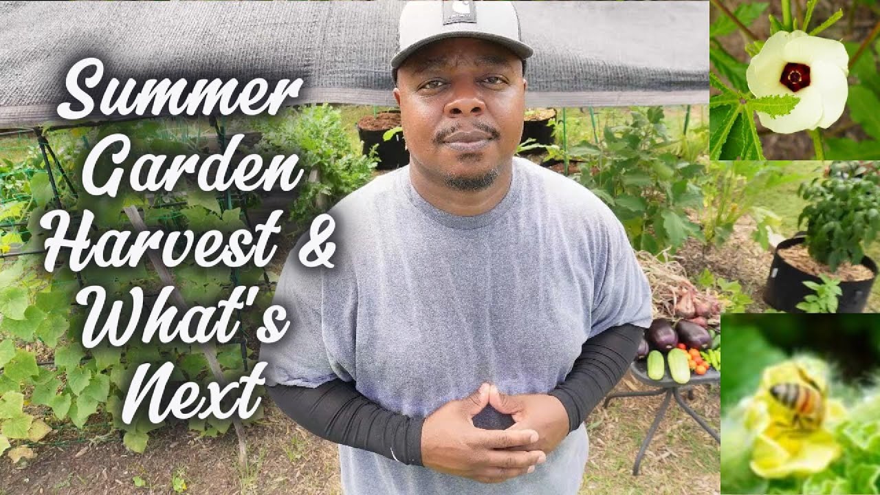 Harvest Time & Fall Garden Prep | What I’ll Do Differently Zone 8b#garden #summer #autumn #letsgrow