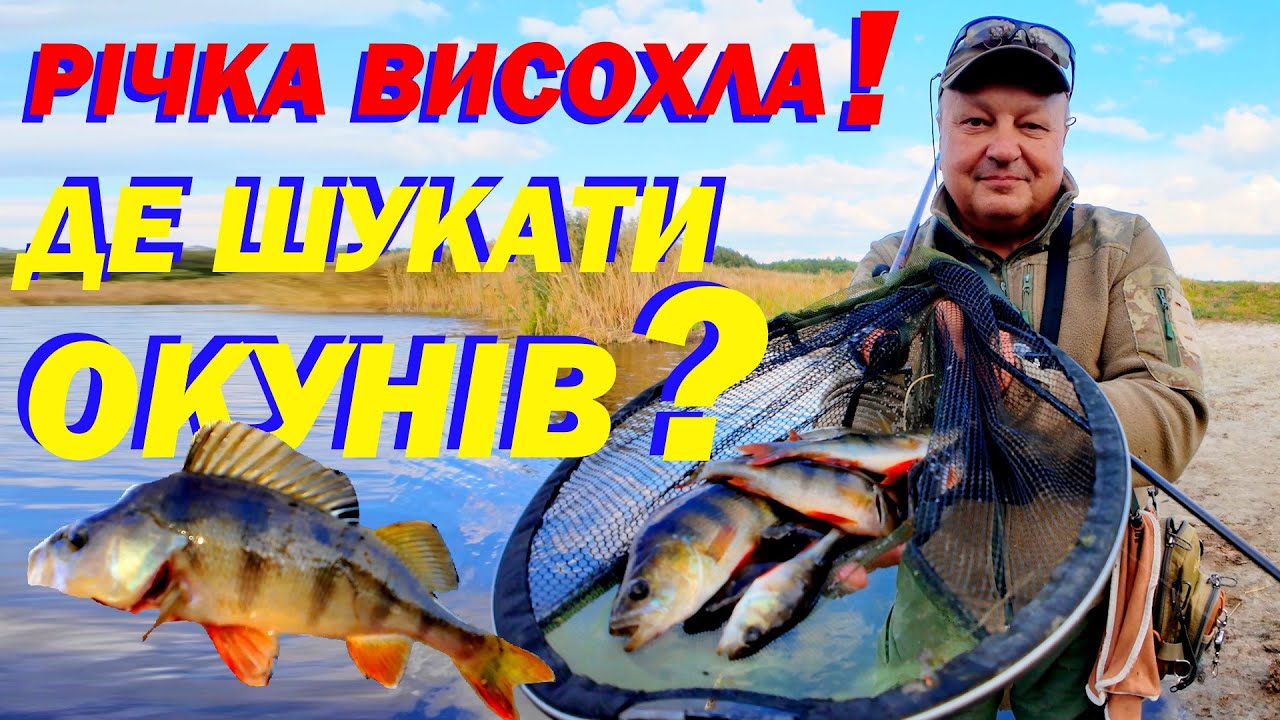 Осінній мікроджиг на дикій річці. Одна приманка, що впіймає грубого окуня завжди!