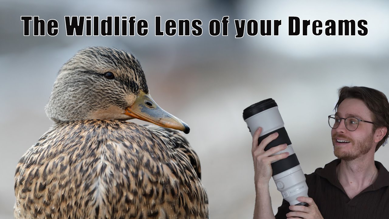5 причин купить объектив Sony 200-600mm в 2025 году (менее чем за 5 минут!)