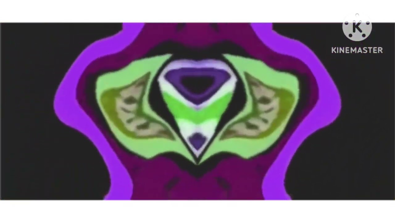 KLASKY CSUPO IN REVERSED ECHO SPIN EFFECS IN CONFUSION