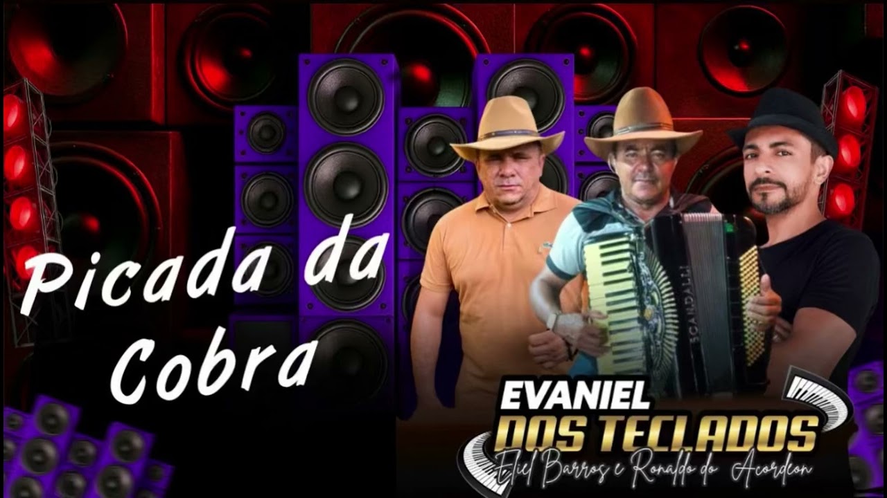 PICADA DA COBRA-EVANIEL DOS TECLADOS ELIEL BARROS E RONALDO DO ACORDEON