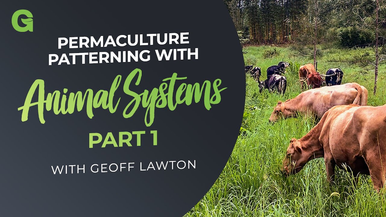 Permaculture Patterning with Animal Systems - Part 1