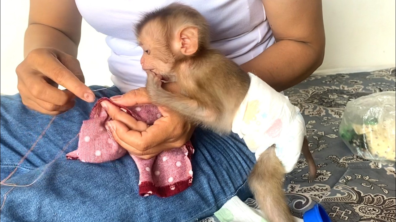 How strange!! Amazing baby LIORA tried to watch her mother sew clothes carefully