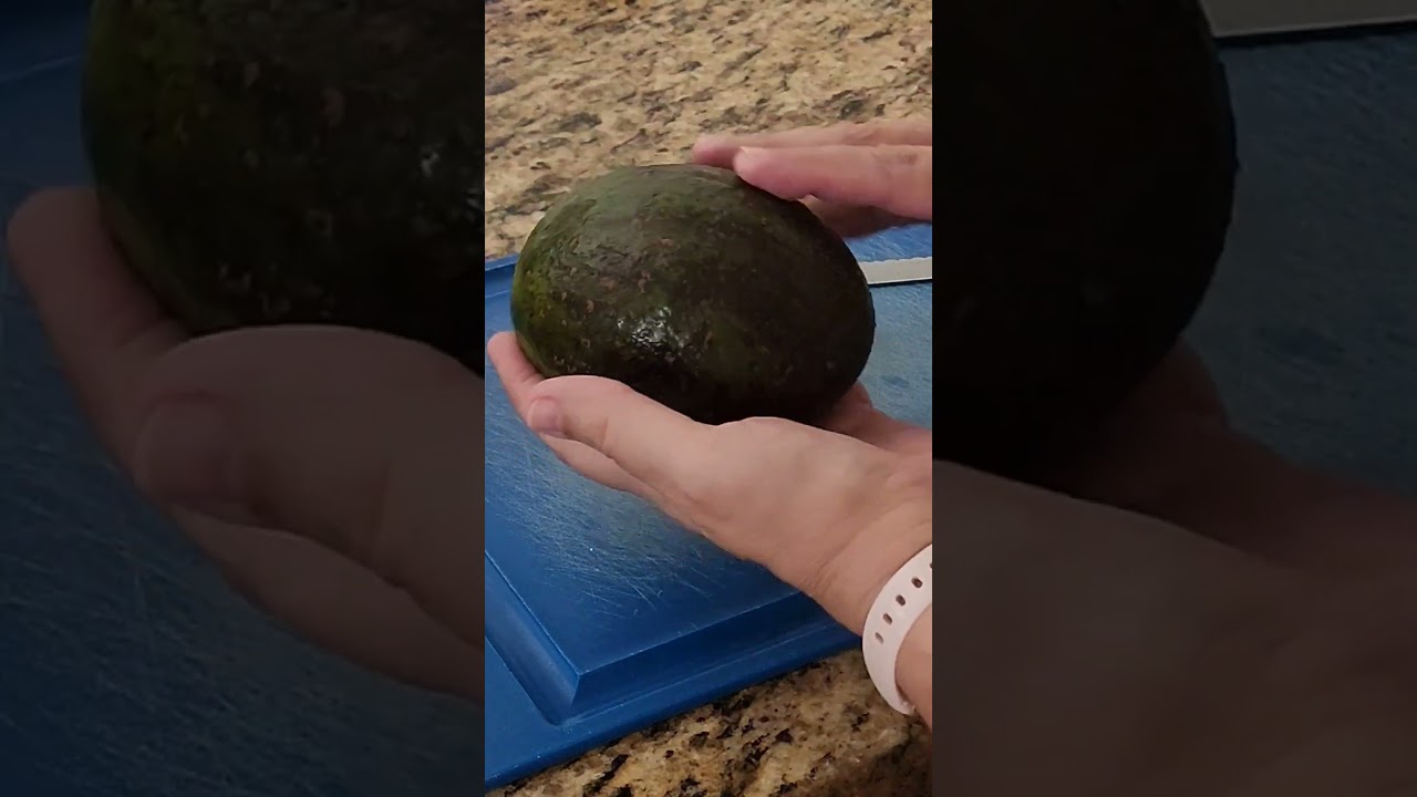 This is HUGE!  #avocado #aguacate #yucateco #gringosrus