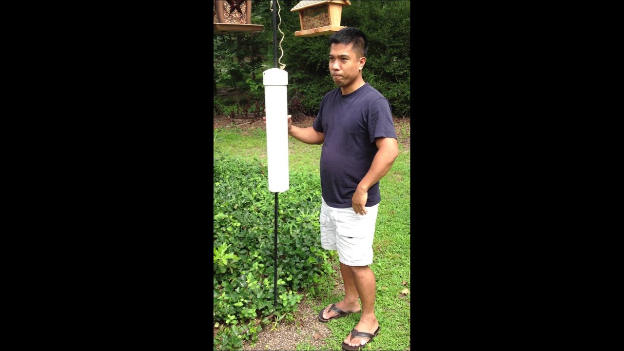 Squirrel proofing your bird feeder