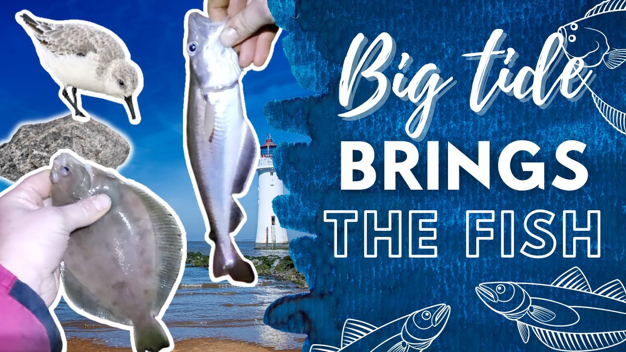Winter Shore Fishing for Flatfish, Dabs & Whiting - Night Fishing at New Brighton Wirral
