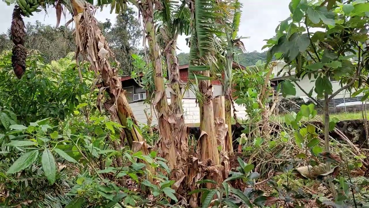 Breaking permaculture principles