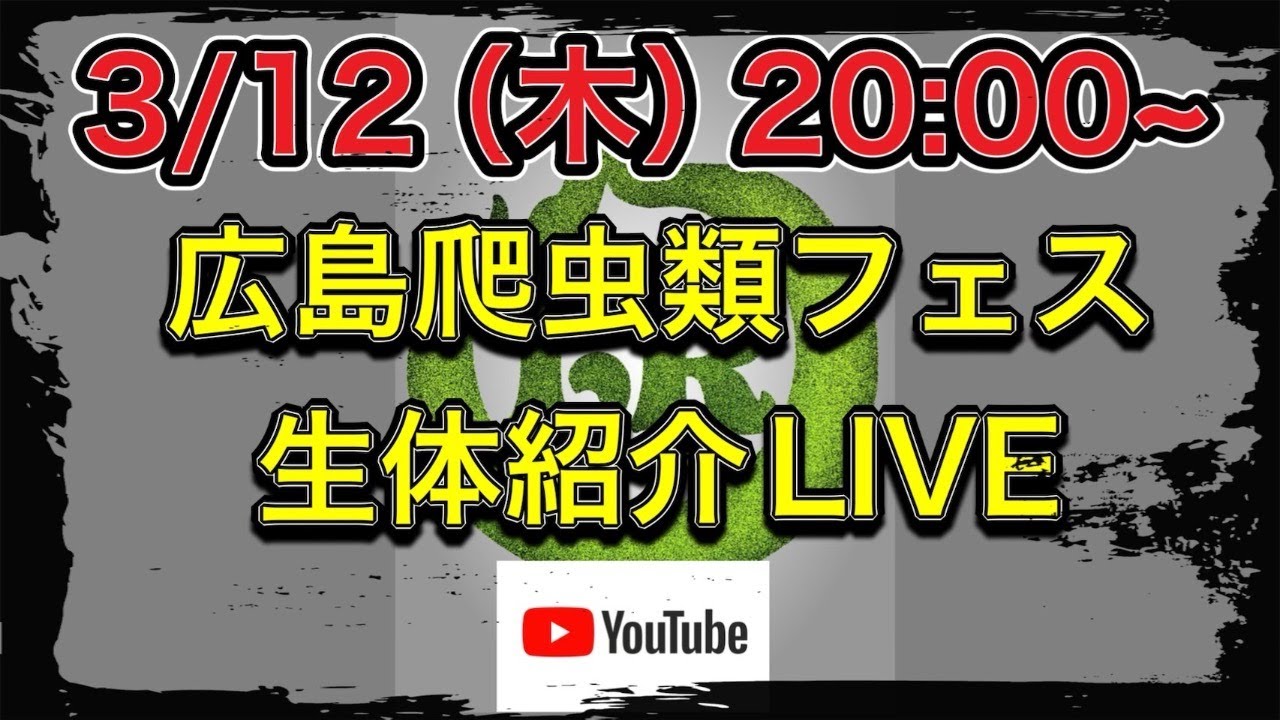 広島爬虫類フェス🎶生体紹介ライブ