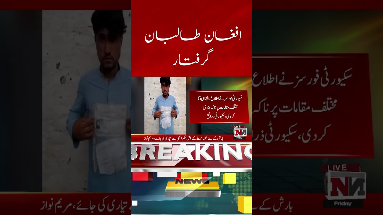 Taliban arrested | Breaking News | NTN News