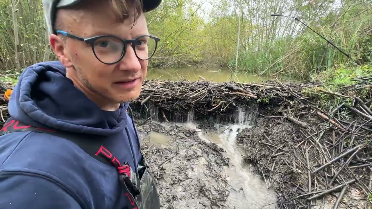 BEAVER DAM REMOVAL || Collapsed in Pieces!