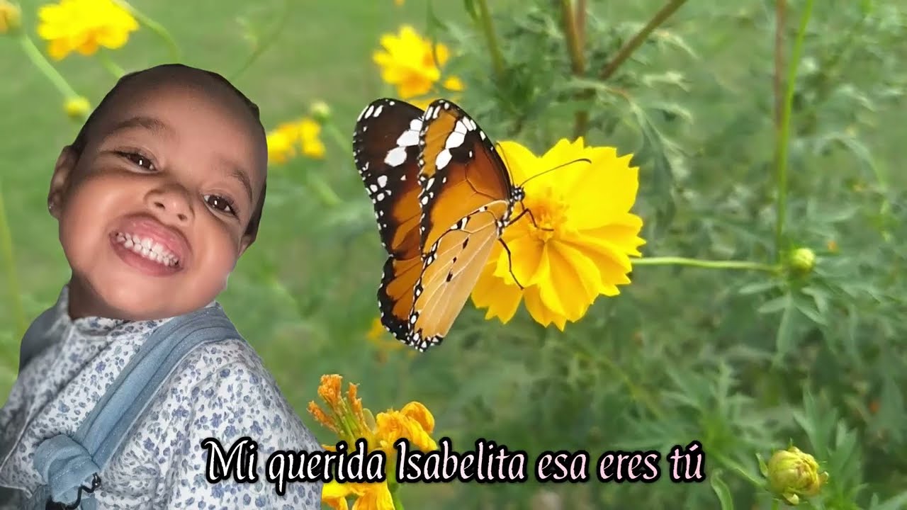 Isabella- Cantautor. Javier Payares Castro - Acordeón; Jhonny Berrocal