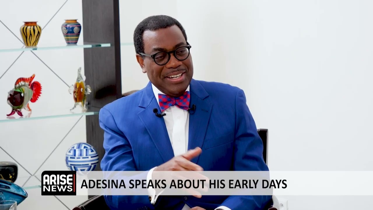Adesina: I Launched a $25 Billion Programme to Turn Around Agriculture in Africa