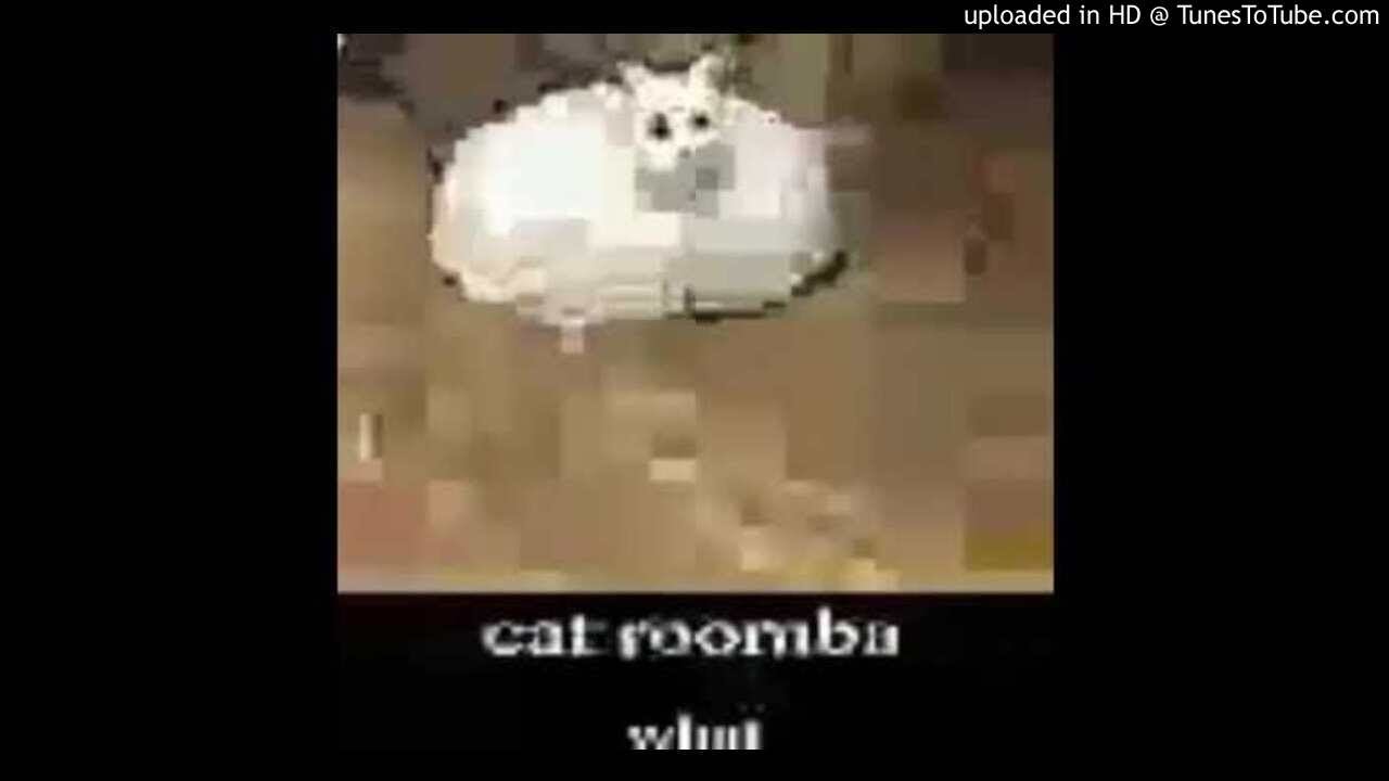 CAT ROOMBA TYPE BEAT