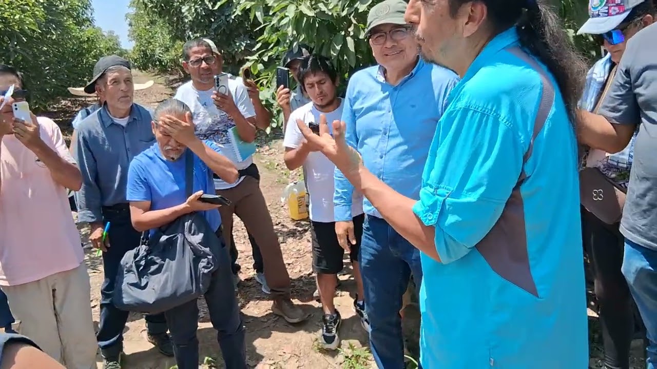 Taller avanzado parte 4 Pedro Isabeles Perú 2026