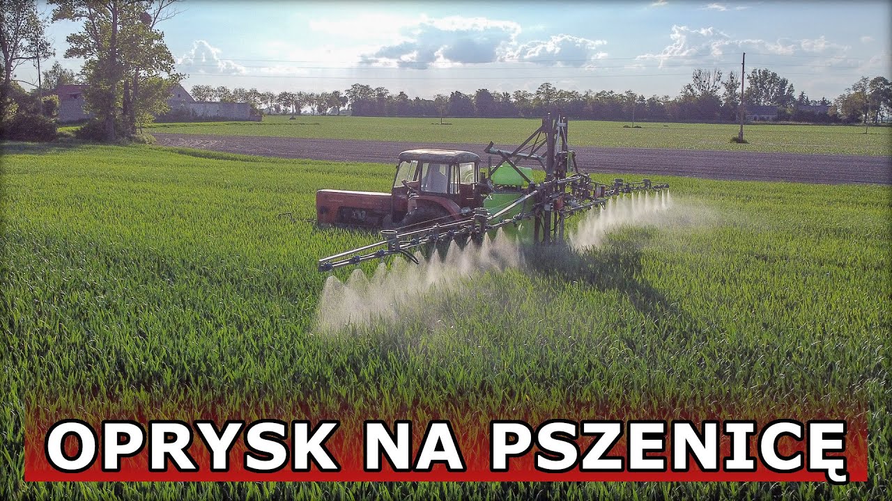 OPRYSK o zachodzie słońca na PSZENICĘ 2021 | URSUS + TECNOMA