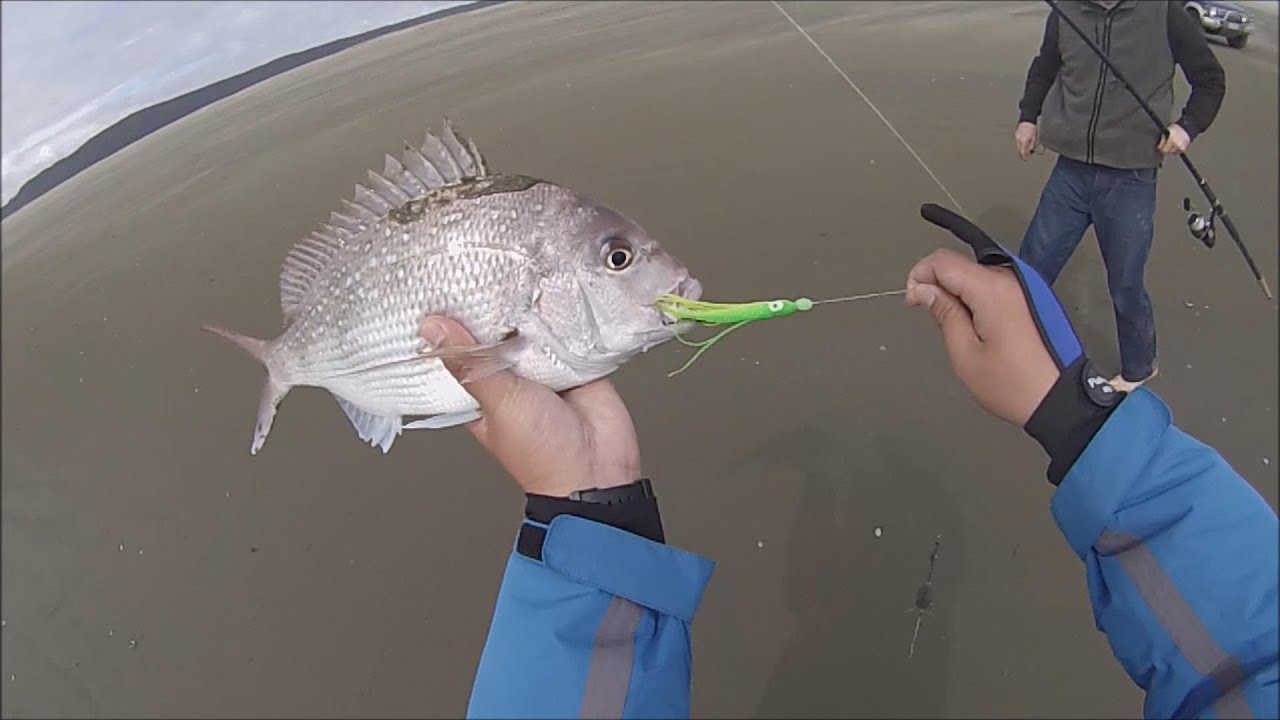 NZ Basic Fishing | Surfcasting | First ever trip to Muriwai Beach