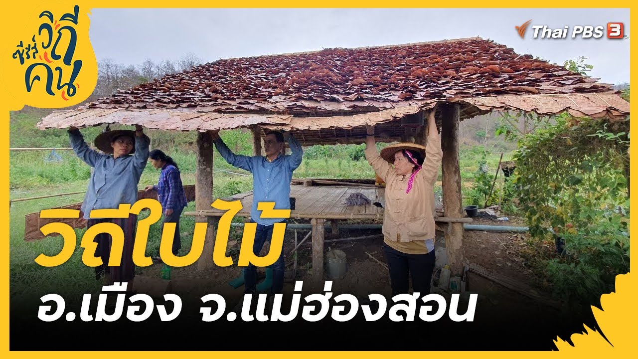 วิถีใบไม้ อ.เมือง จ.แม่ฮ่องสอน : ซีรีส์วิถีคน