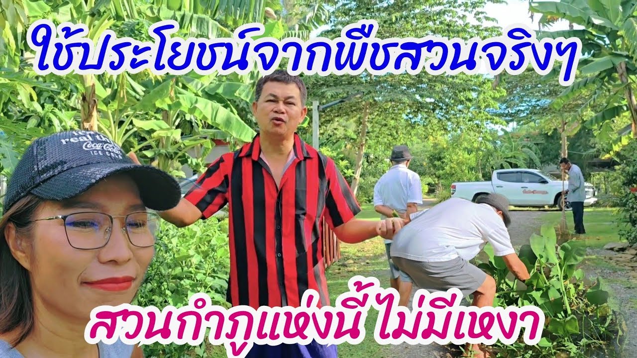 สวนสนุกยามเช้า งานเยอะกิจกรรมแยะ #บ้านสวนกำภูEp1084