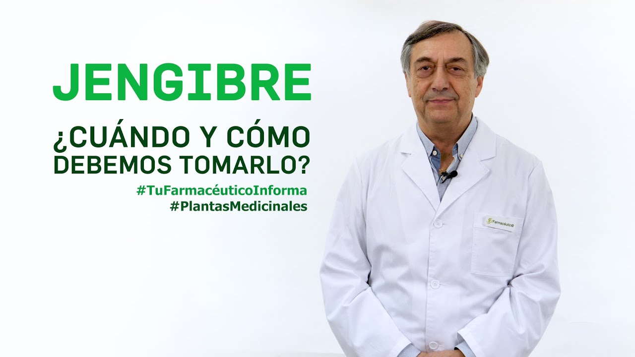 Jengibre, cu&aacute;ndo y c&oacute;mo debemos tomarlo. Tu Farmac&eacute;utico Informa - #PlantasMedicinales