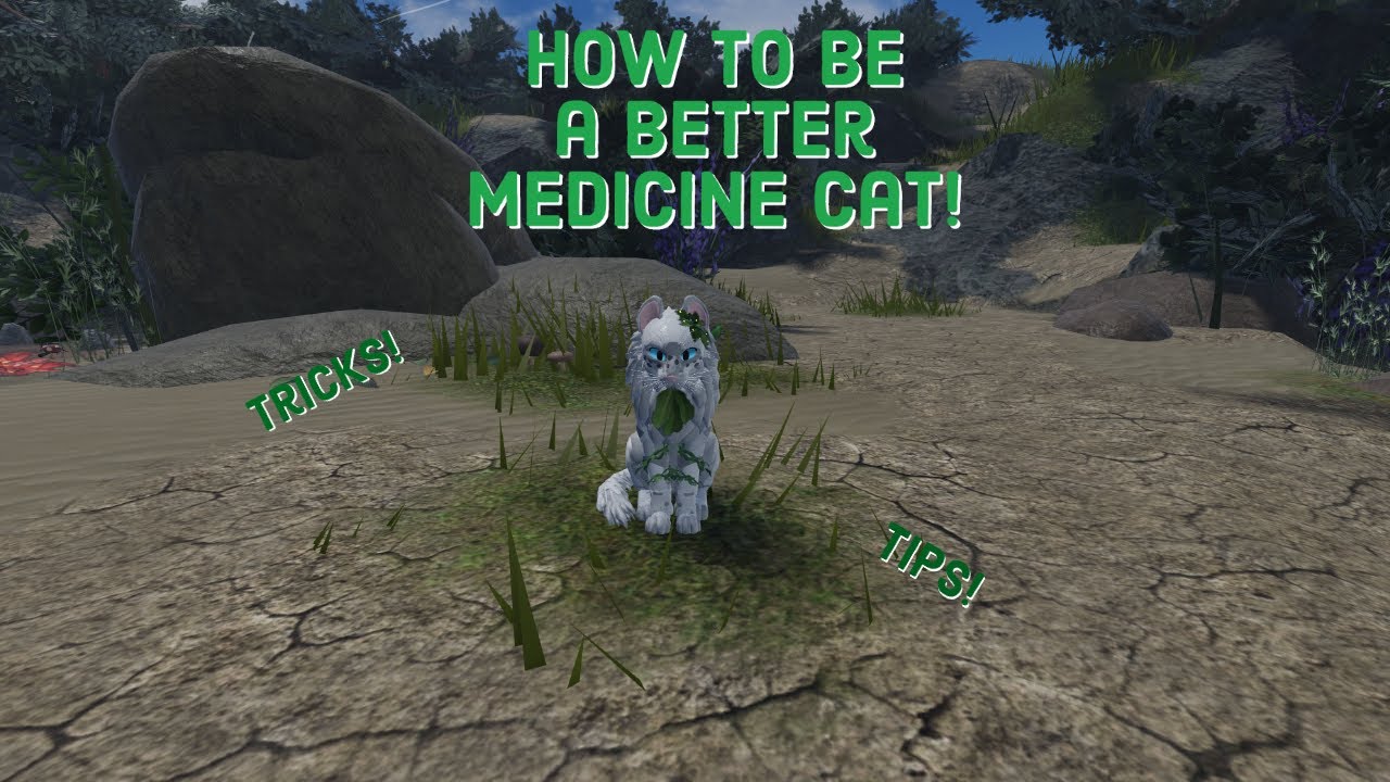 How to be a Better Medicine Cat! -Part 1- | Warrior Cats Ultimate Edition
