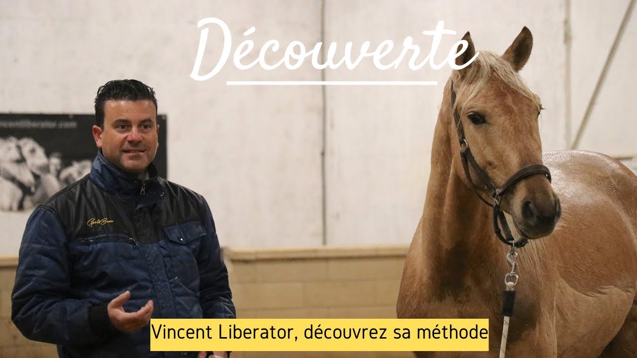 [DECOUVERTE] Le travail des jeunes chevaux avec Vincent Liberator