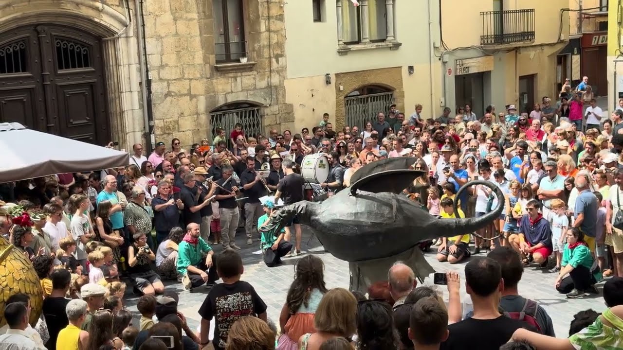 Ball del Drac de la Bisbal d'Empordà · Seguici històric de la Bisbal d'Empordà (15/08/2024)