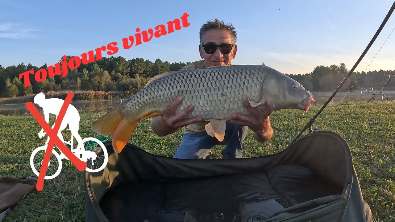 Etang des 3 vaux Ingrandes de Touraine