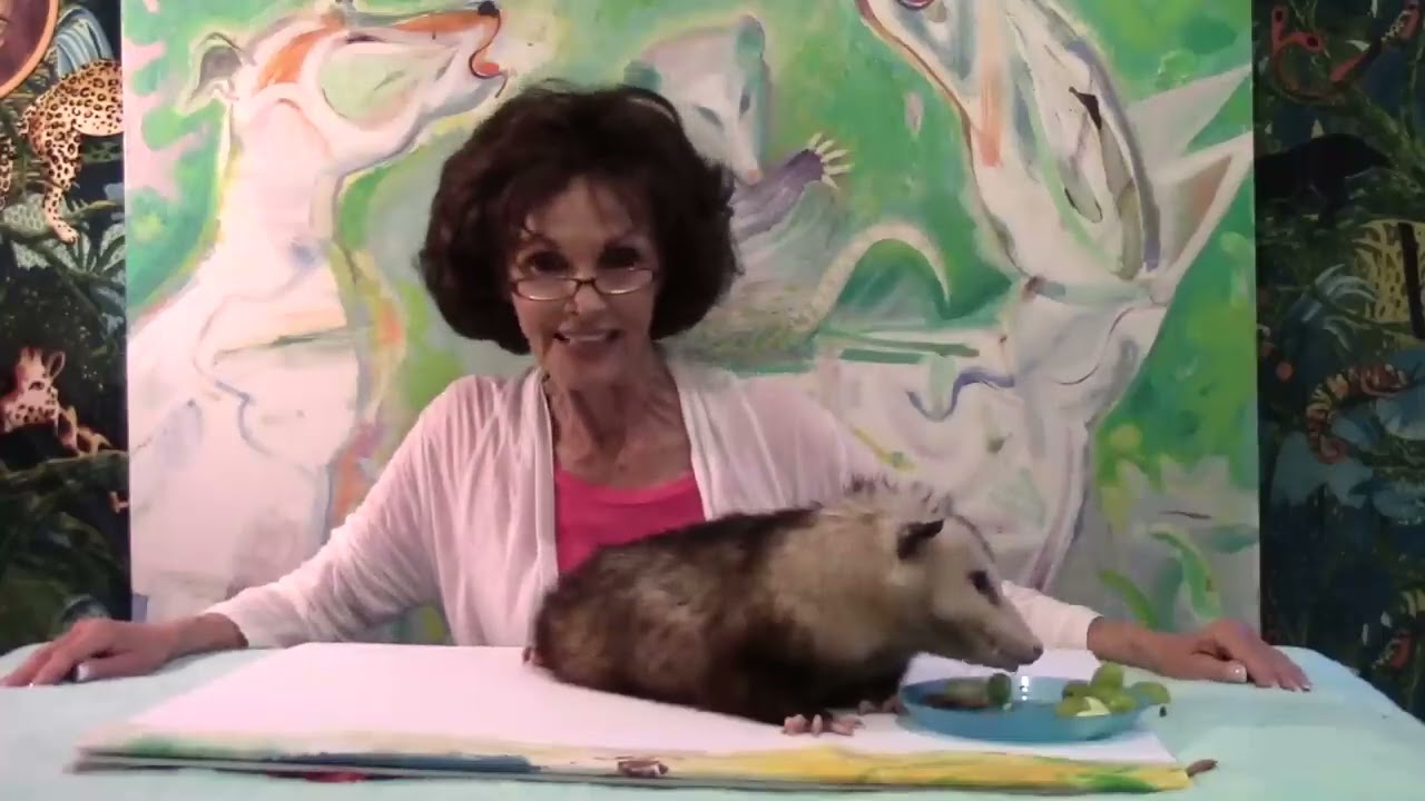 State of the Art  Possum Style