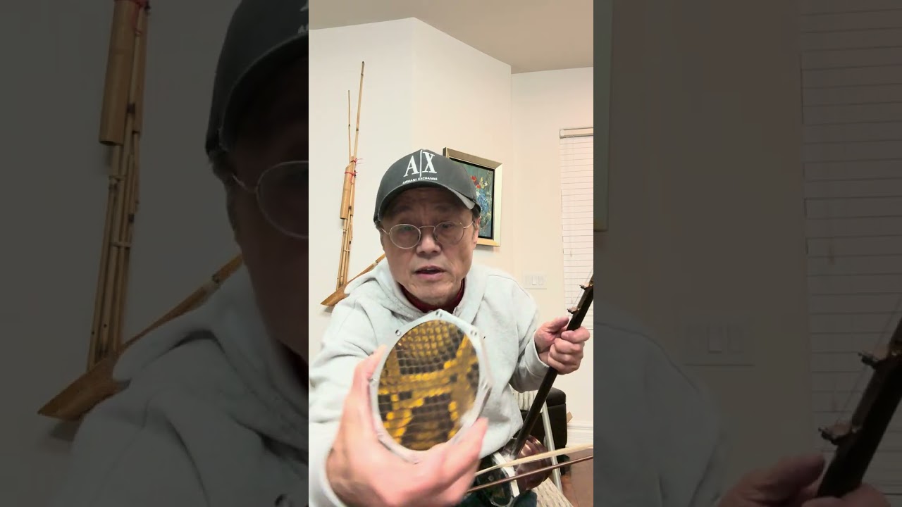 Traditional erhu 二胡 vs Innovative Liquan Qin 利泉琴  #erhu #chinesemusic #erhumusic #chineseculture