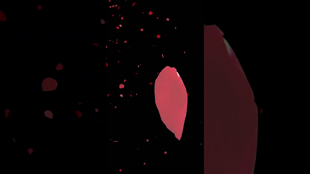 💘 Valentine&rsquo;s Day Overlay Effect for Video Editing 💖