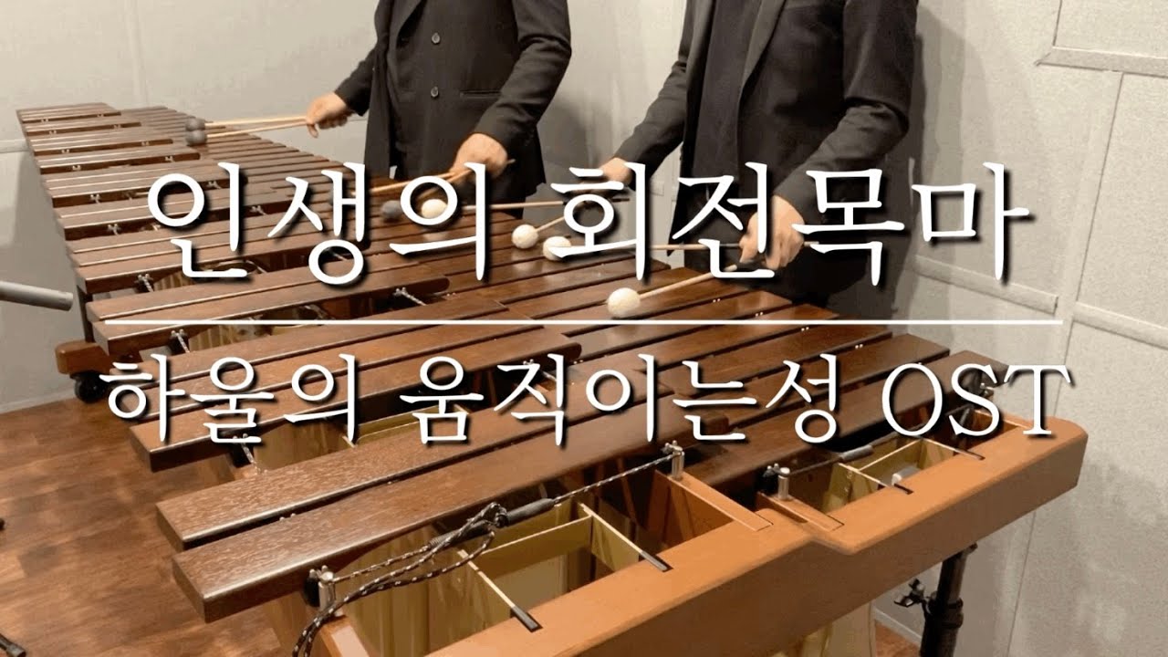 Howl’s Moving Castle Theme - Merry Go Round of Life / Pulse Marimba Cover