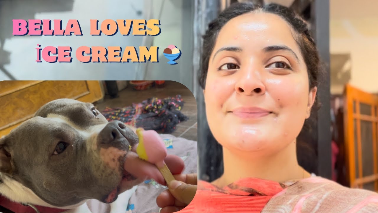 Bella bhut tang krti hai😰 #dailyvlog #dogvideos 