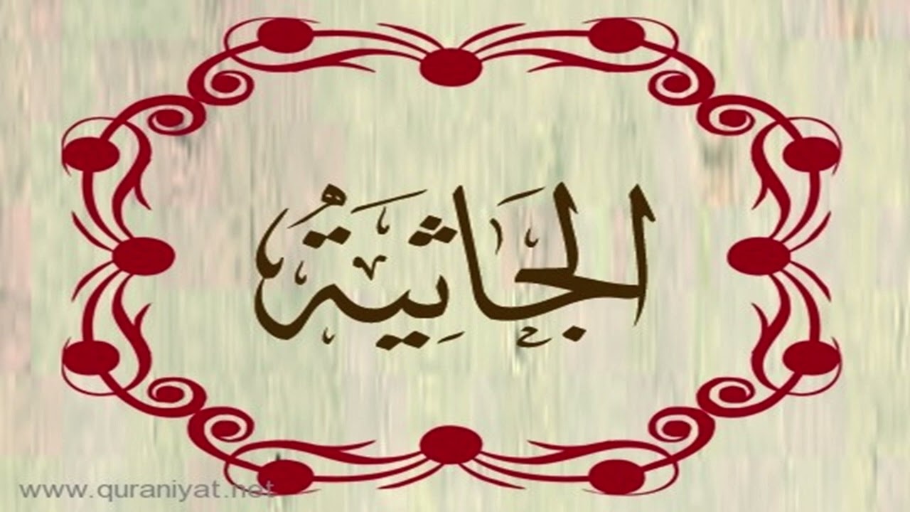 الشيخ أحمد النفيس - سورة الجاثية