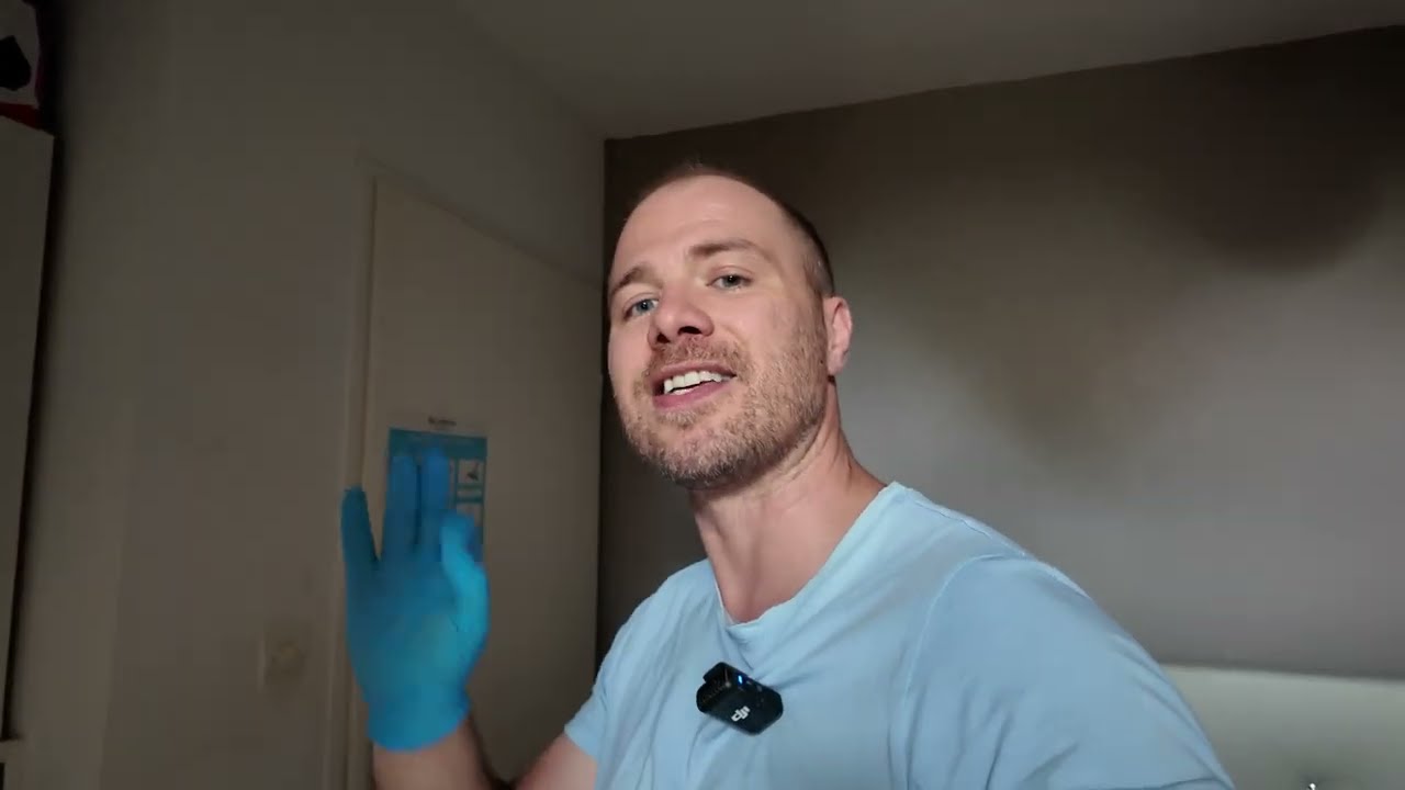 Comment Éliminer les Rongeurs dans les Murs et Plafonds : Solutions Efficaces et Astuces