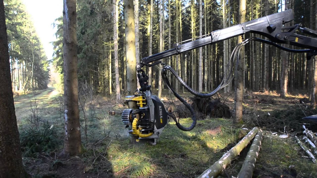 Kesla 25RH an einem Kotschenreuther K 240R