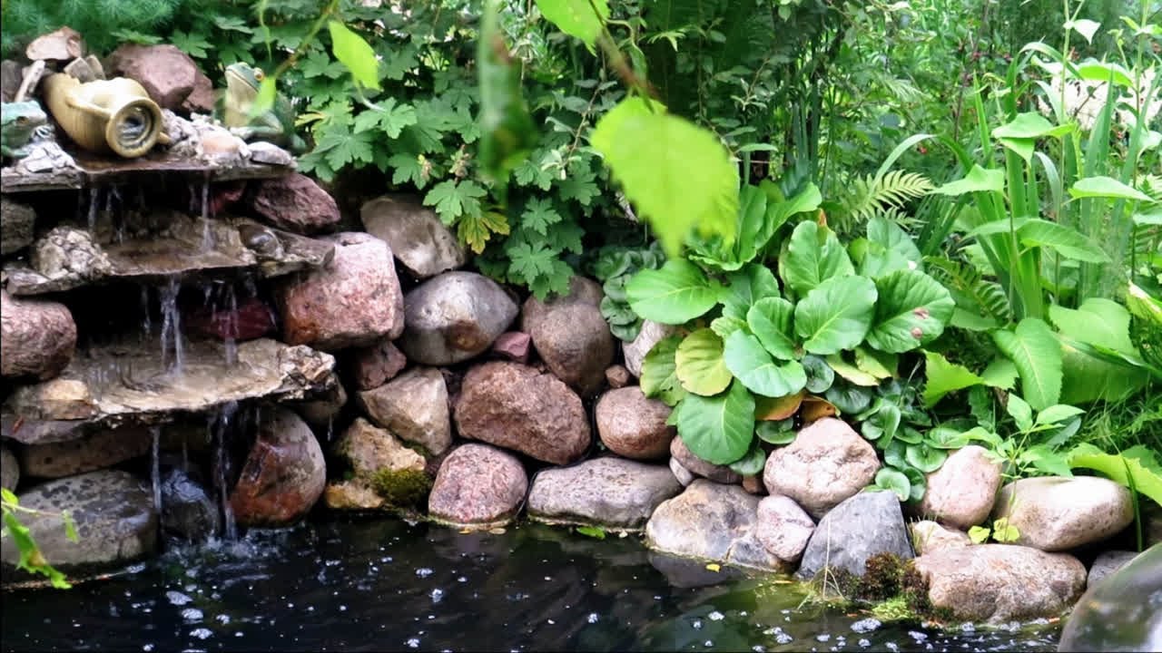 Чистая Вода в Пруду много лет! Как?! Рассказываю...