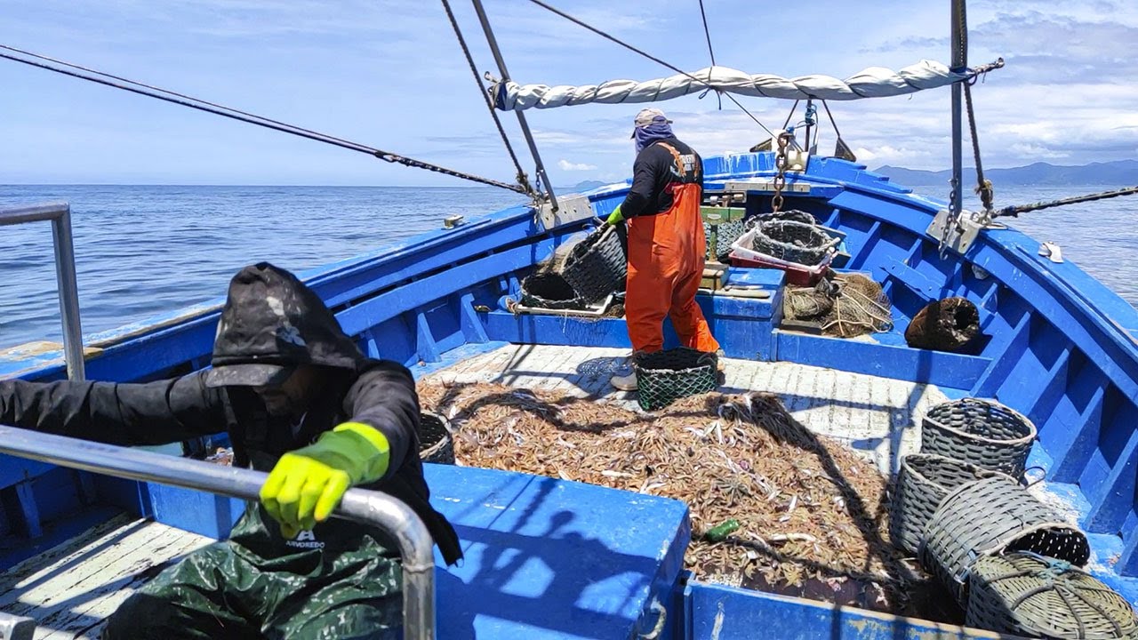 PESCA DE CAMARÃO EM ALTO MAR!