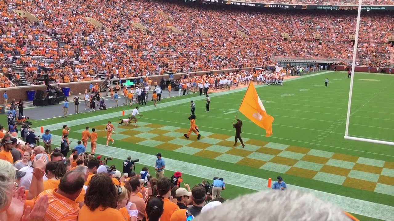 Smokey Sept. 8th 2018 UT vs ETSU
