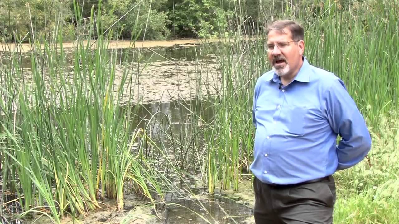 aquatic ecology