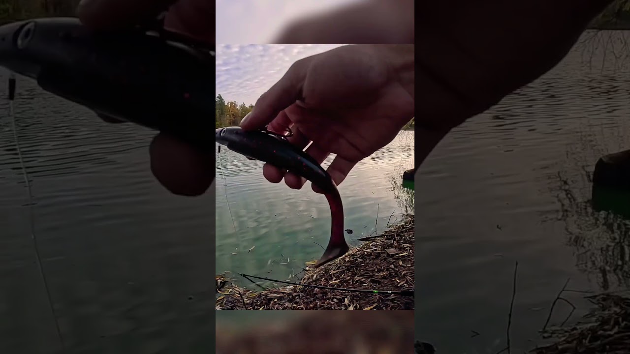 Fishing hacks 🎣 #fishing #fishinghacks #bigfish