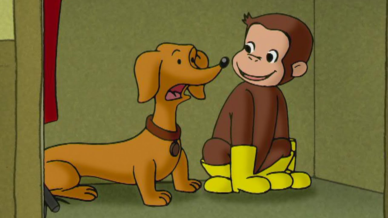 ¡Jorge es un buen perro! | Jorge El Curioso En Español