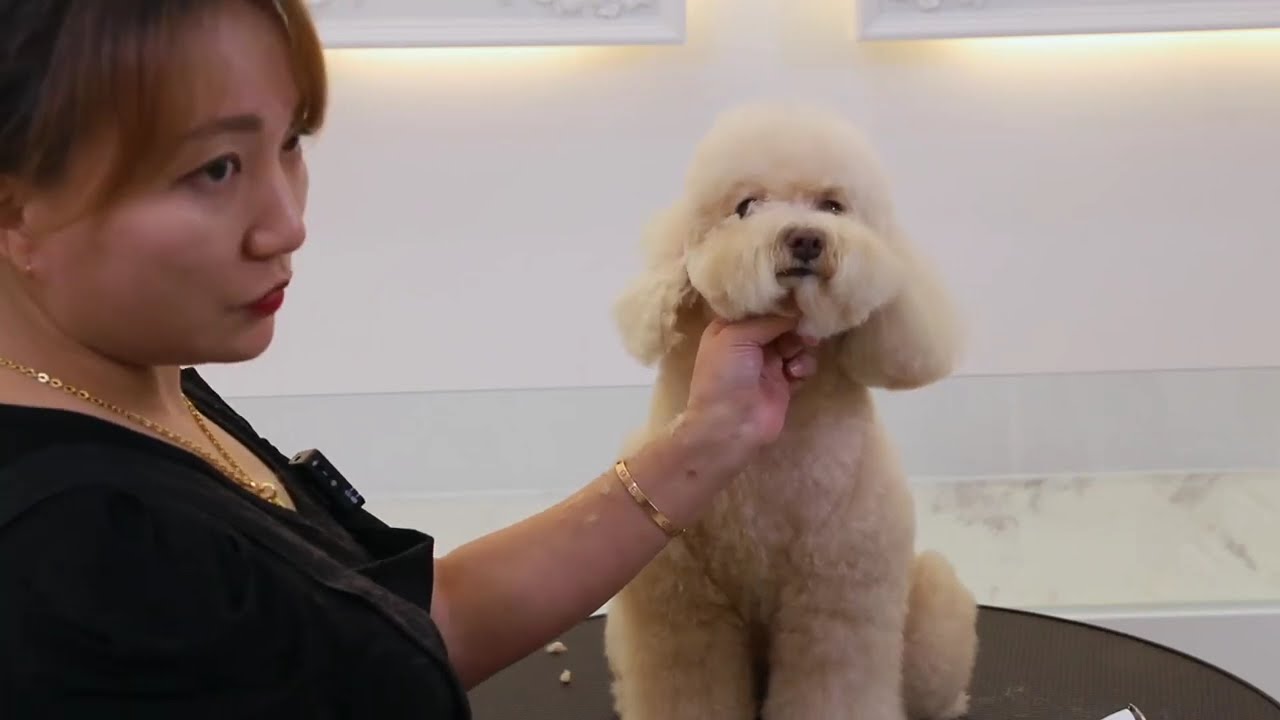 #곰돌이얼굴컷