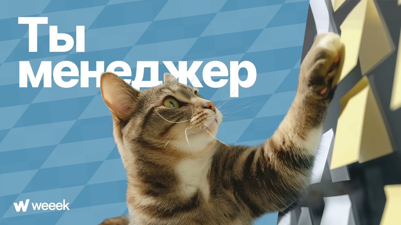 Ты — менеджер. Трейлер