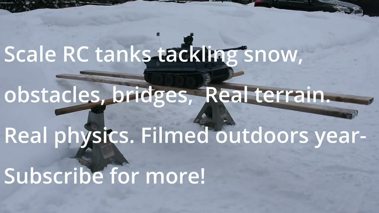 Tiger 1 vs Teeter-Totter ❄️ Multi-Angle Balance Test