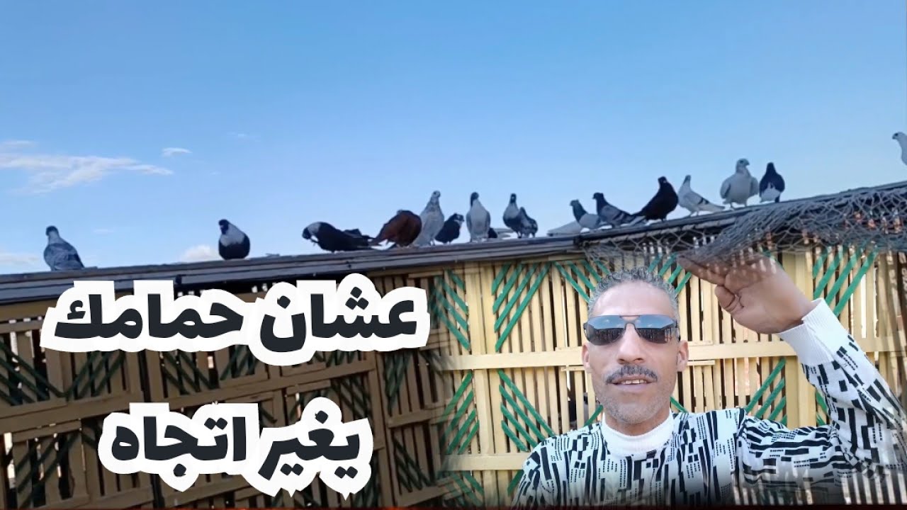 ازاى تخلى حمامك يغير اتجاه ويخش بلد تانية#تربووالغيةالمصرية