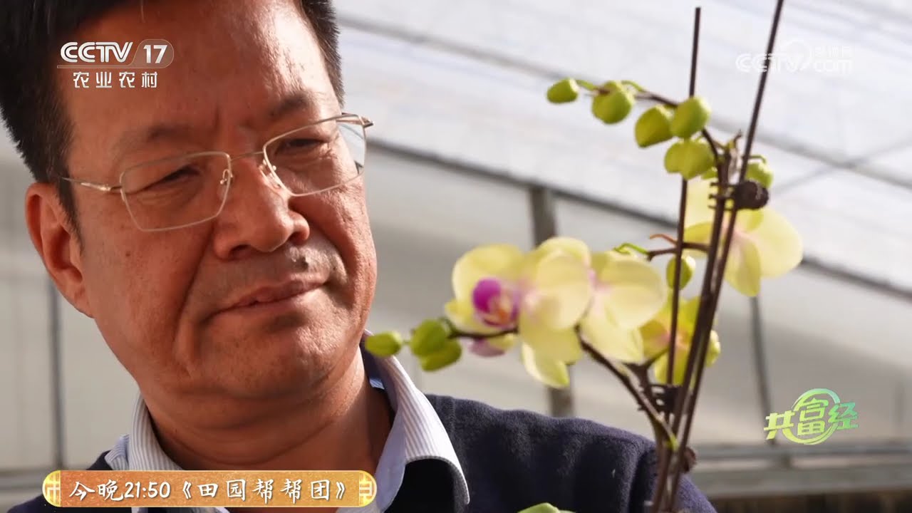 《共富经》 20250316 鲜花卖进城 四季无闲日 | 农业致富经 Agriculture And Farming